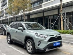
										Toyota RAV4 (IV), 2020 full									