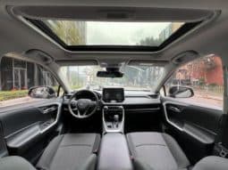 
										Toyota RAV4 (IV), 2020 full									