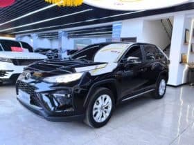 Toyota Wildlander, 2023