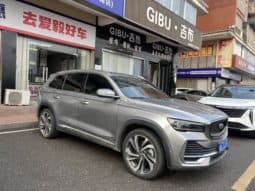 
										Geely Monjaro, 2021 full									