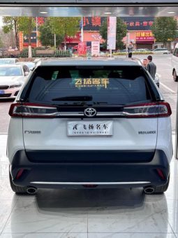 
										Toyota Wildlander, 2022 full									