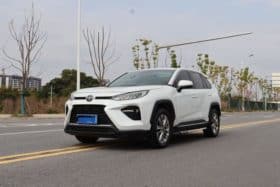 Toyota Wildlander, 2022