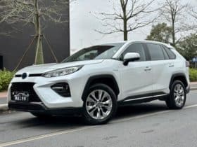 Toyota Wildlander, 2021