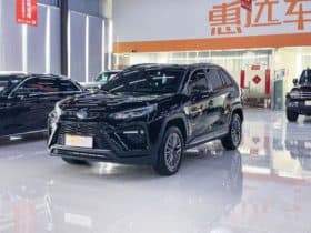 Toyota Wildlander, 2023