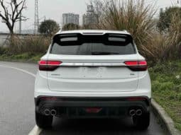 
										Geely Coolray, 2020 full									