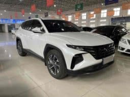 
										Hyundai Tucson (III), 2022 full									