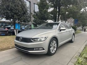 Volkswagen Magotan, 2020