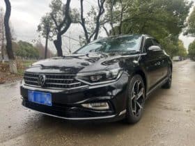 Volkswagen Magotan, 2023
