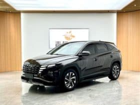 Hyundai Tucson (III), 2023
