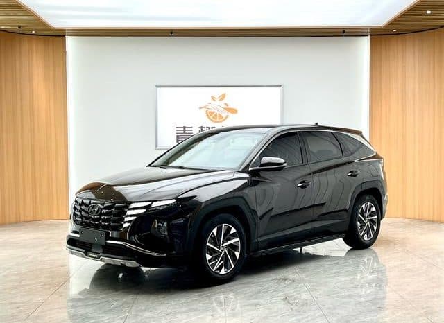 67d33f215598f Hyundai Tucson (III), 2023