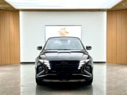 
										Hyundai Tucson (III), 2023 full									
