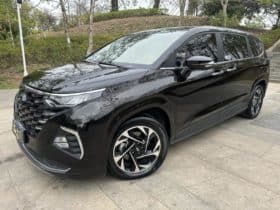 Hyundai Custo, 2022