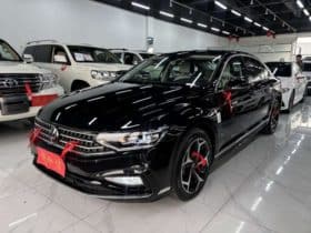 Volkswagen Magotan, 2023