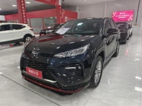 Toyota Wildlander, 2021
