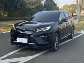 Toyota Wildlander, 2024