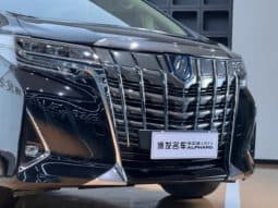 
										Toyota Vellfire (II), 2022 full									