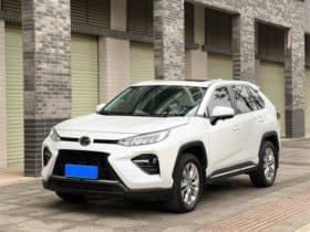 Toyota Wildlander, 2021