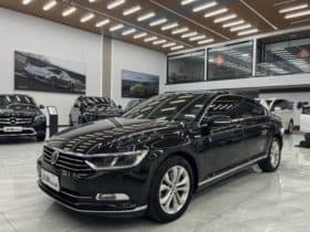 Volkswagen Magotan, 2020