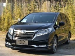 67d3f63842a2c Honda Elysion, 2021