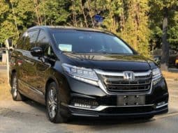 
										Honda Elysion, 2021 full									