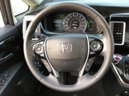 
										Honda Elysion, 2021 full									