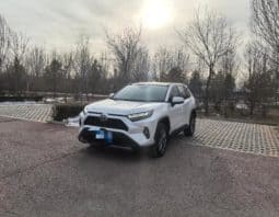 67d42519785d2 Toyota RAV4 (IV), 2024