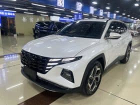 Hyundai Tucson (III), 2022