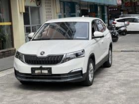 Skoda Kamiq, 2020