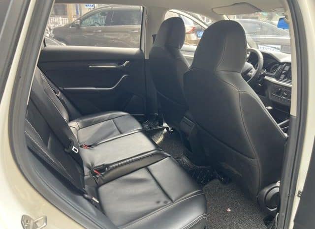 
								Skoda Kamiq, 2020 full									