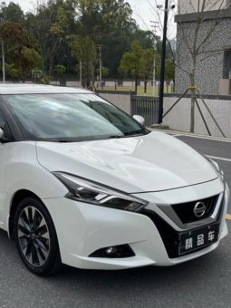 
										Nissan Lannia, 2020 full									