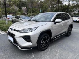 Toyota Wildlander, 2022