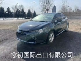 Toyota Levin, 2021