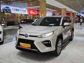Toyota Wildlander, 2022