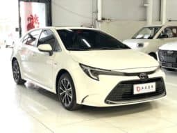 
										Toyota Levin, 2024 full									