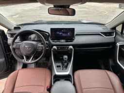 
										Toyota RAV4 (IV), 2023 full									
