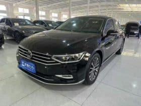 Volkswagen Magotan, 2021
