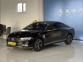 Volkswagen Magotan, 2021