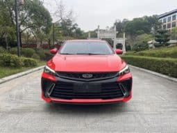 
										Geely Binrui, 2023 full									