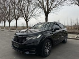 Honda Avancier (II), 2020