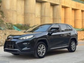 Toyota Wildlander, 2023