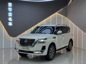 Nissan Patro (IV), 2020