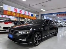 Volkswagen Magotan, 2023
