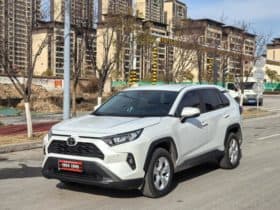 Toyota RAV4 (IV), 2024