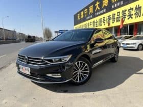 Volkswagen Magotan, 2021