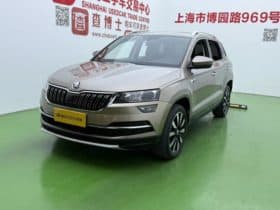 Skoda Karoq, 2020