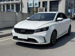 67dd257f48942 Geely Binrui, 2021