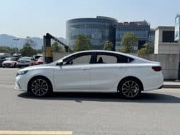 
										Geely Binrui, 2021 full									
