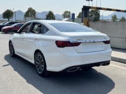 
										Geely Binrui, 2021 full									