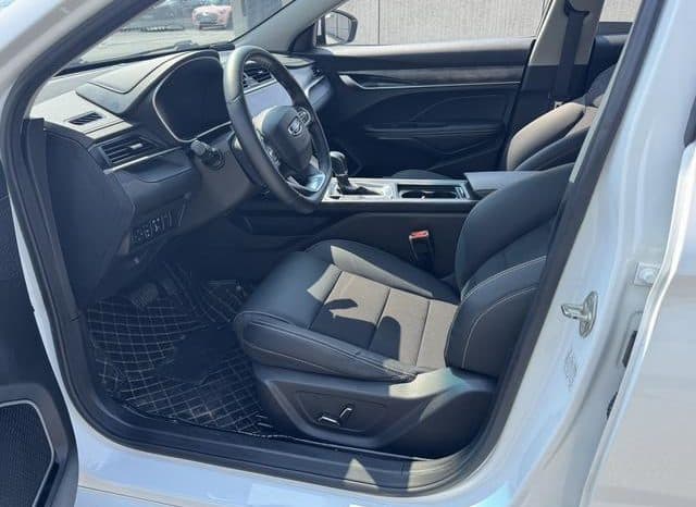 
								Geely Binrui, 2021 full									