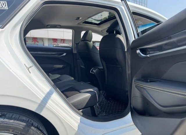 
								Geely Binrui, 2021 full									